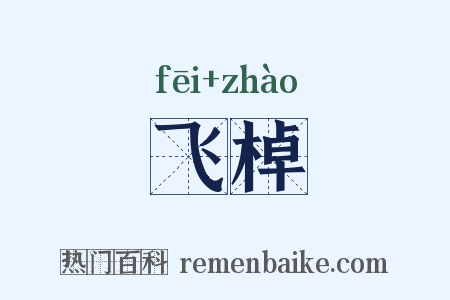 飞棹是什么意思的图片